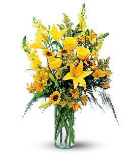Burst of Yellow - Katy Texas